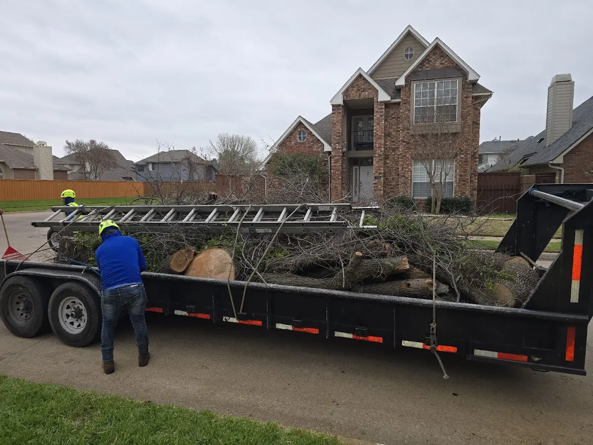 Expert Lot Clearing with proper safety equipment in Kranzburg